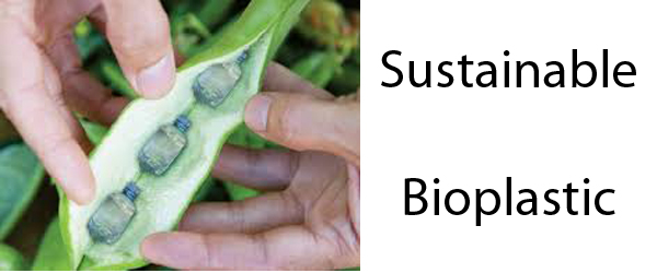 Sustainable Bioplastic