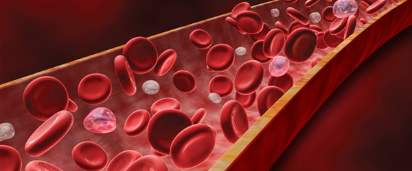 BLOOD CELLS