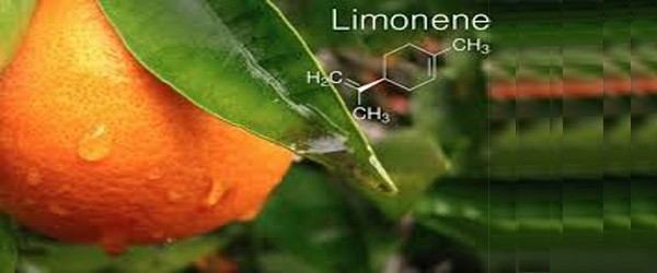 Limonene is increasingly being used as a solvent for cleaning purposes, such as the removal of oil from machine.