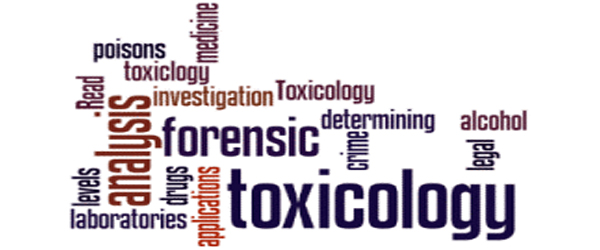 Toxicology Chemical- Biological Interactions