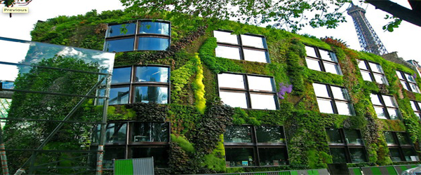Vertical Gardens growing more in less space