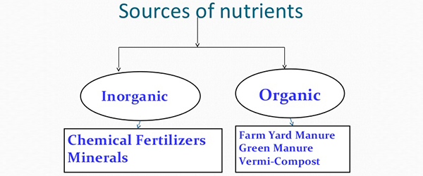 Availability of Micro-Nutrients in Organic and Inorganic Fertilizers(IN PPM)
