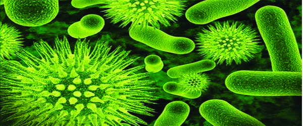 Significance of Gut Flora-UCBMSH