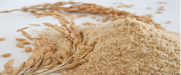 The part of rice we don't eat may be highly nutritious