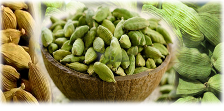 Importance Of small cardamom