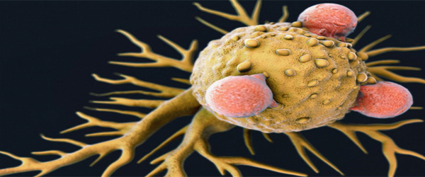 Poliovirus kills off cancer cells, stops tumor regrowth