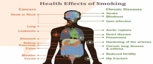 What Are The Impact Of Smoking We Ll See